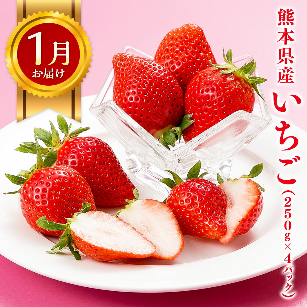 【ふるさと納税】【6か月隔月定期便】旬の熊本フルーツ 単品 定期便 100000円 10万円 果物 フルーツ 季節 いちご デコポン スイカ メロン 肥後グリーンメロン 梨 柿 セット 1年 6回 国産 熊本県産 熊本 九州 熊本県 送料無料 サムネイル3