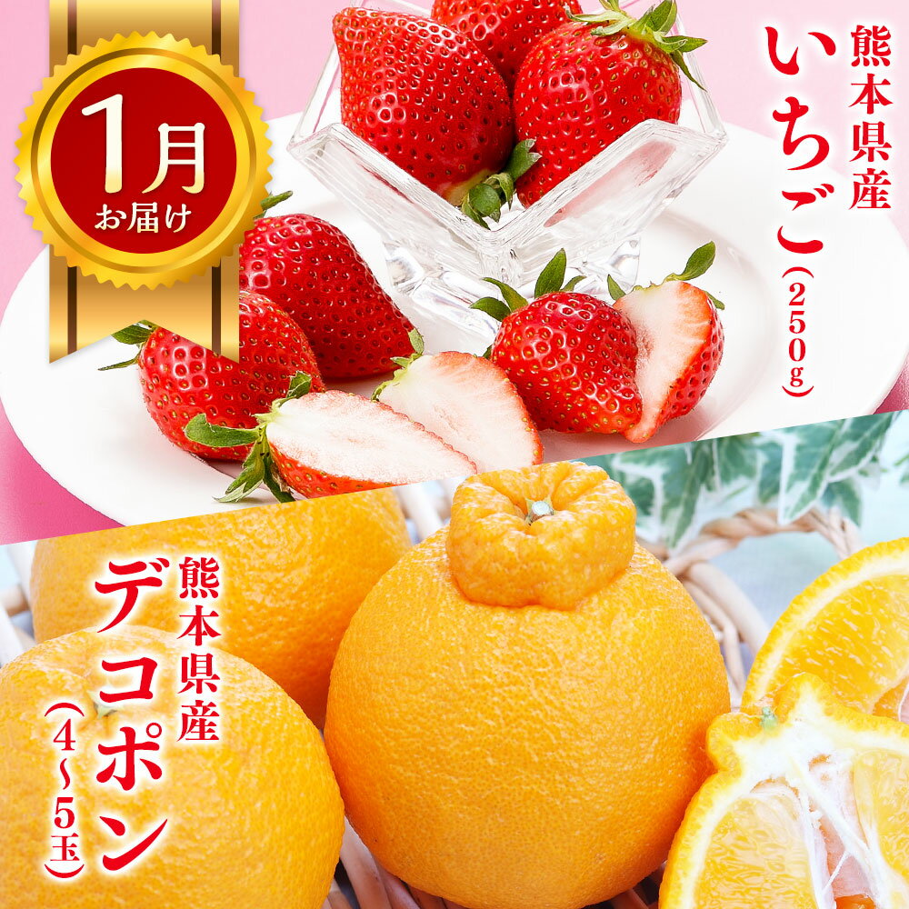 【ふるさと納税】【年3回定期便】熊本の人気フルーツ堪能定期便（1月・5月・10月発送）50000円 5万円 果物 フルーツ 季節 いちご デコポン スイカ メロン マスクメロン 梨 柿 セット 3回 国産 熊本県産 熊本 九州 熊本県 送料無料 サムネイル3