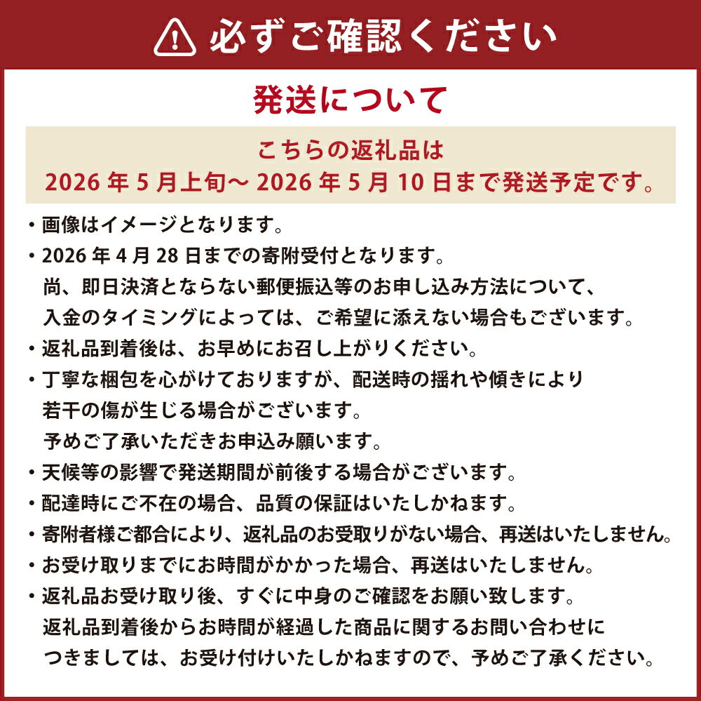 【ふるさと納税】マスクメロン1玉とカーネーション1鉢 セット メロン 果物 くだもの フルーツ 花 カーネーション 母の日 イベント ギフト プレゼント 贈り物 九州 熊本県 送料無料 【2026年5月上旬発送（母の日）】 サムネイル3