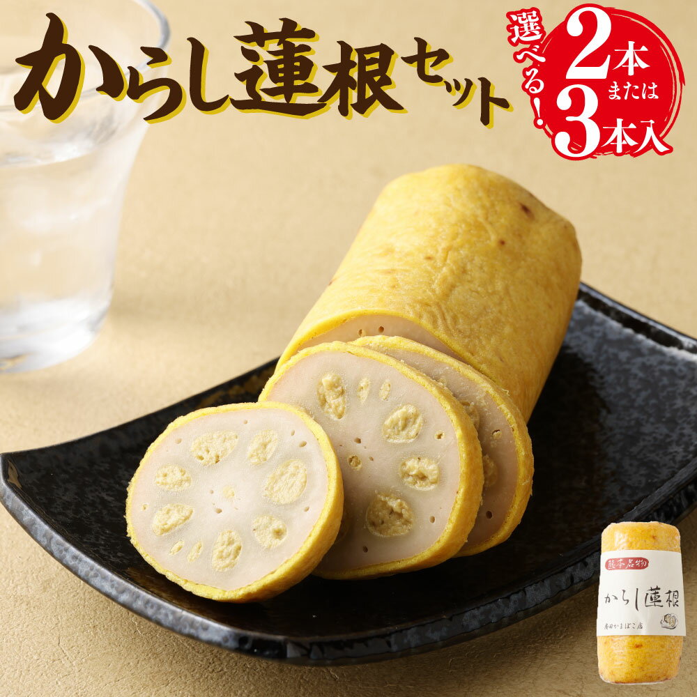 からし蓮根セット 2本 または 3本 からし蓮根 からしれんこん 蓮根 辛子蓮根 れんこん レンコン 熊本特産 郷土料理 おつまみ おかず グルメ 冷蔵 九州 熊本県 送料無料