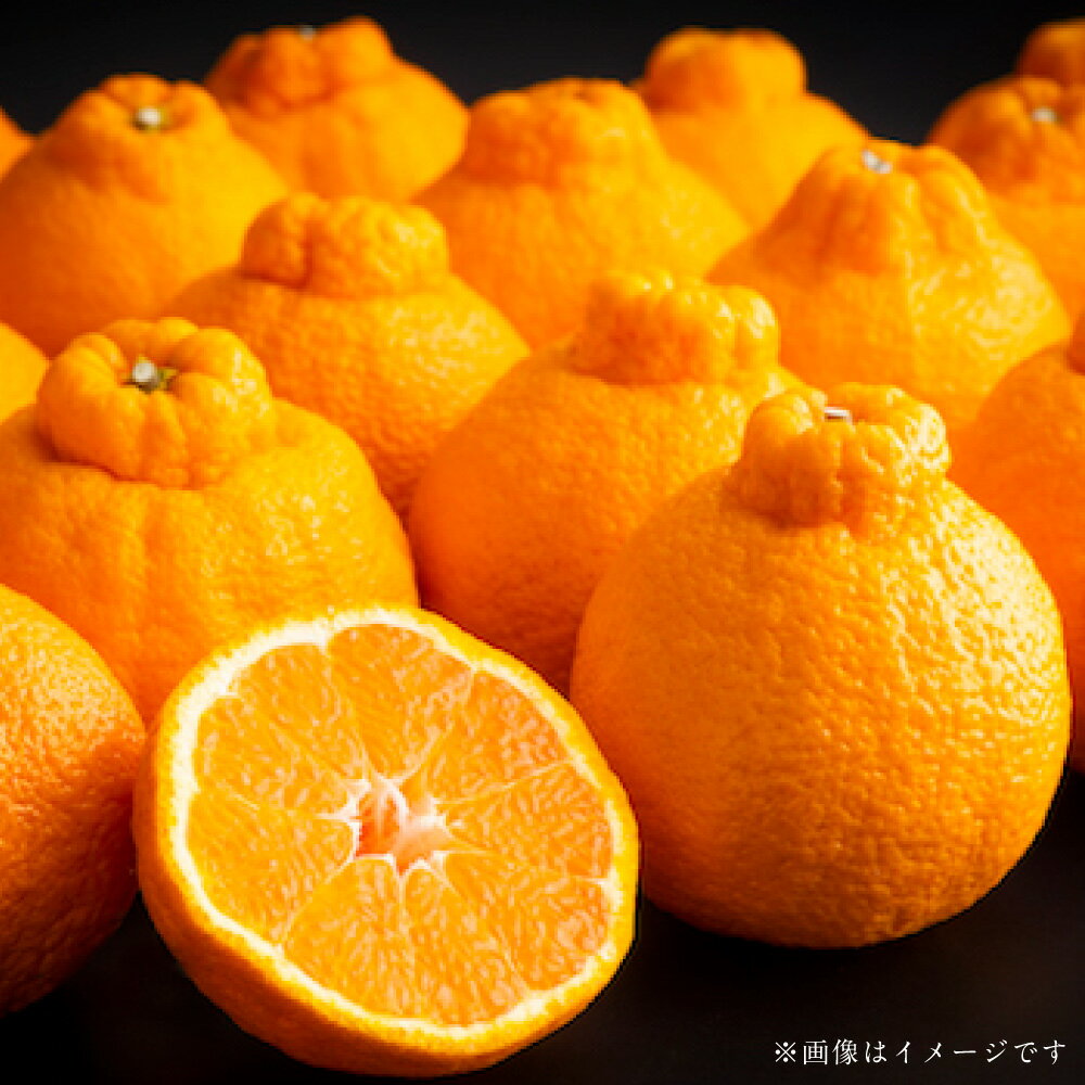 熊本県産 デコポン 約5kg 果物 フルーツ 柑橘類 みかん ミカン でこぽん 低温貯蔵 熟成 濃厚 旬 常温 九州 熊本県 送料無料 【2026年3月上旬発送開始】