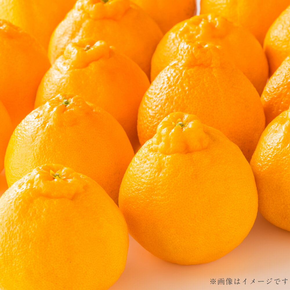 【ふるさと納税】 熊本県産 デコポン 約5kg 果物 フルーツ 柑橘類 みかん ミカン でこぽん 低温貯蔵 熟成 濃厚 旬 常温 九州 熊本県 送料無料 【2026年3月上旬発送開始】 サムネイル2