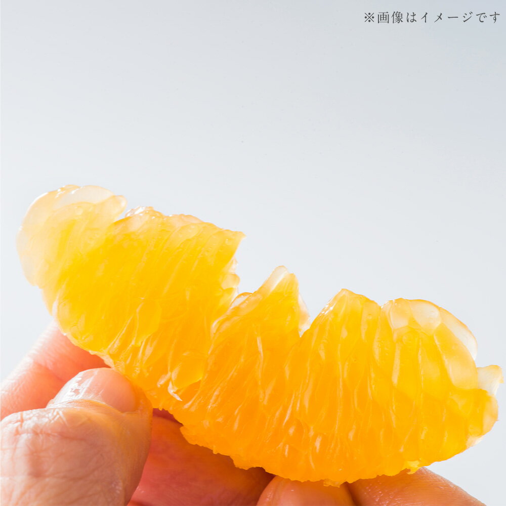 【ふるさと納税】 熊本県産 デコポン 約5kg 果物 フルーツ 柑橘類 みかん ミカン でこぽん 低温貯蔵 熟成 濃厚 旬 常温 九州 熊本県 送料無料 【2026年3月上旬発送開始】 サムネイル3