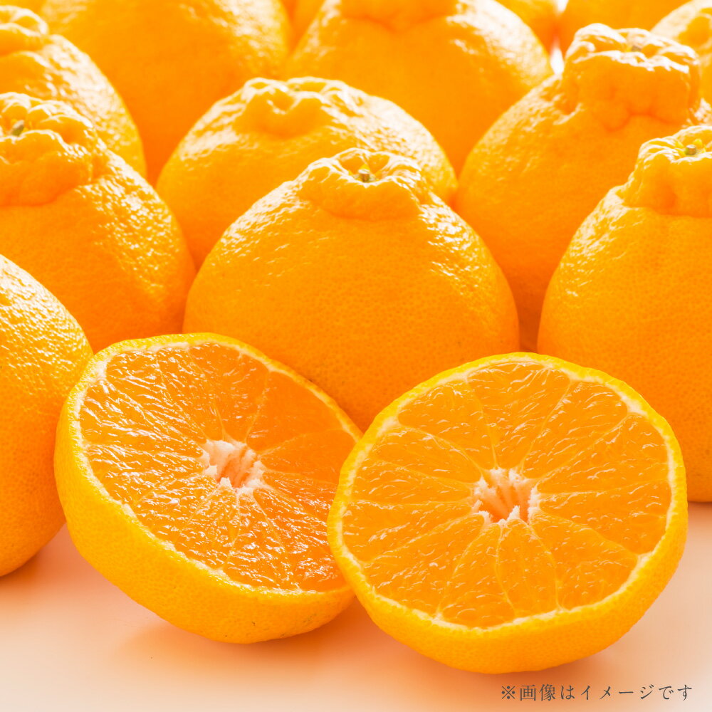 熊本県産 ハウスデコポン 約3kg デコポン でこぽん ハウス栽培 甘い 果物 フルーツ 旬 贈り物 贈答用 常温 九州 熊本県 送料無料 【2025年12月上旬発送開始】