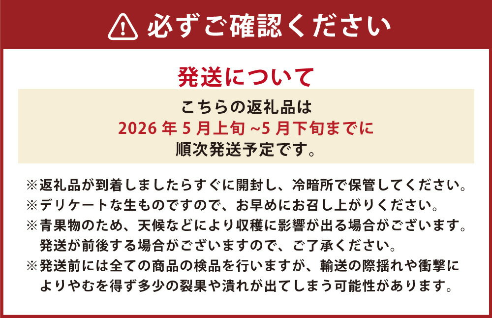 【ふるさと納税】熊本県産 肥後グリーンメロン 1玉 1.6kg以上 メロン フルーツ 果物 くだもの 果実 高糖度 九州 熊本県 送料無料 【2026年5月上旬発送開始】 サムネイル3