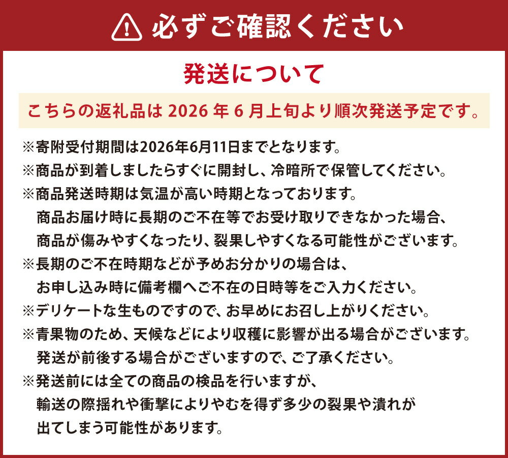 【ふるさと納税】熊本県産 小玉すいか1玉（1.5kg以上）と肥後グリーンメロン1玉（1.6kg以上）スイカ 西瓜 メロン 果物 くだもの 果実 フルーツ 旬 お取り寄せ 贅沢 ご褒美 ギフト 国産 九州 熊本県 常温 送料無料 【2026年6月上旬発送開始】 サムネイル3