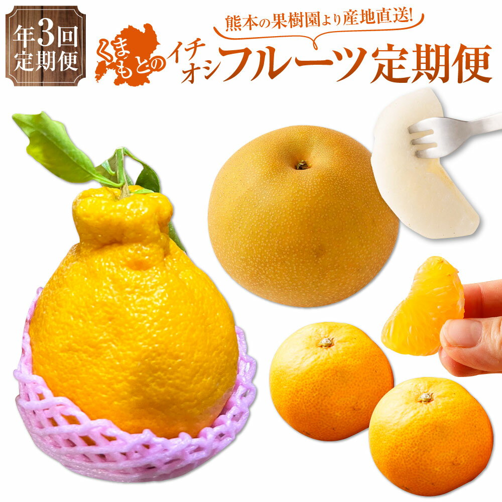 【年3回定期便】熊本の果樹園より産地直送！くまもとのイチオシフルーツ定期便 全3回 不知火 しらぬい あきづき 梨 みかん 柑橘 温州みかん 定期 定期配送 フルーツ 果物 九州 熊本県 送料無料