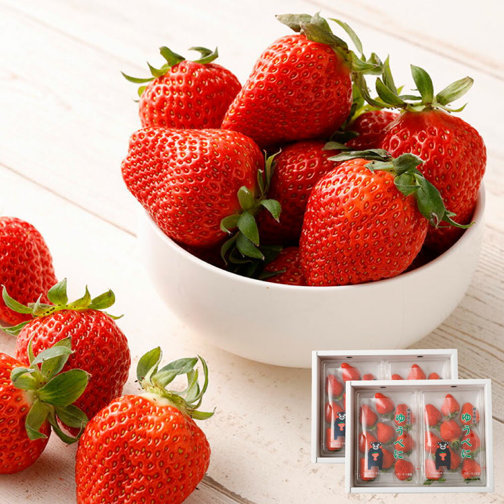 熊本県産いちご ゆうべに 4パック 約1000g 約24～44個 果物 フルーツ 苺 イチゴ 旬 冷蔵 九州 熊本県 送料無料 【2026年1月上旬発送開始】