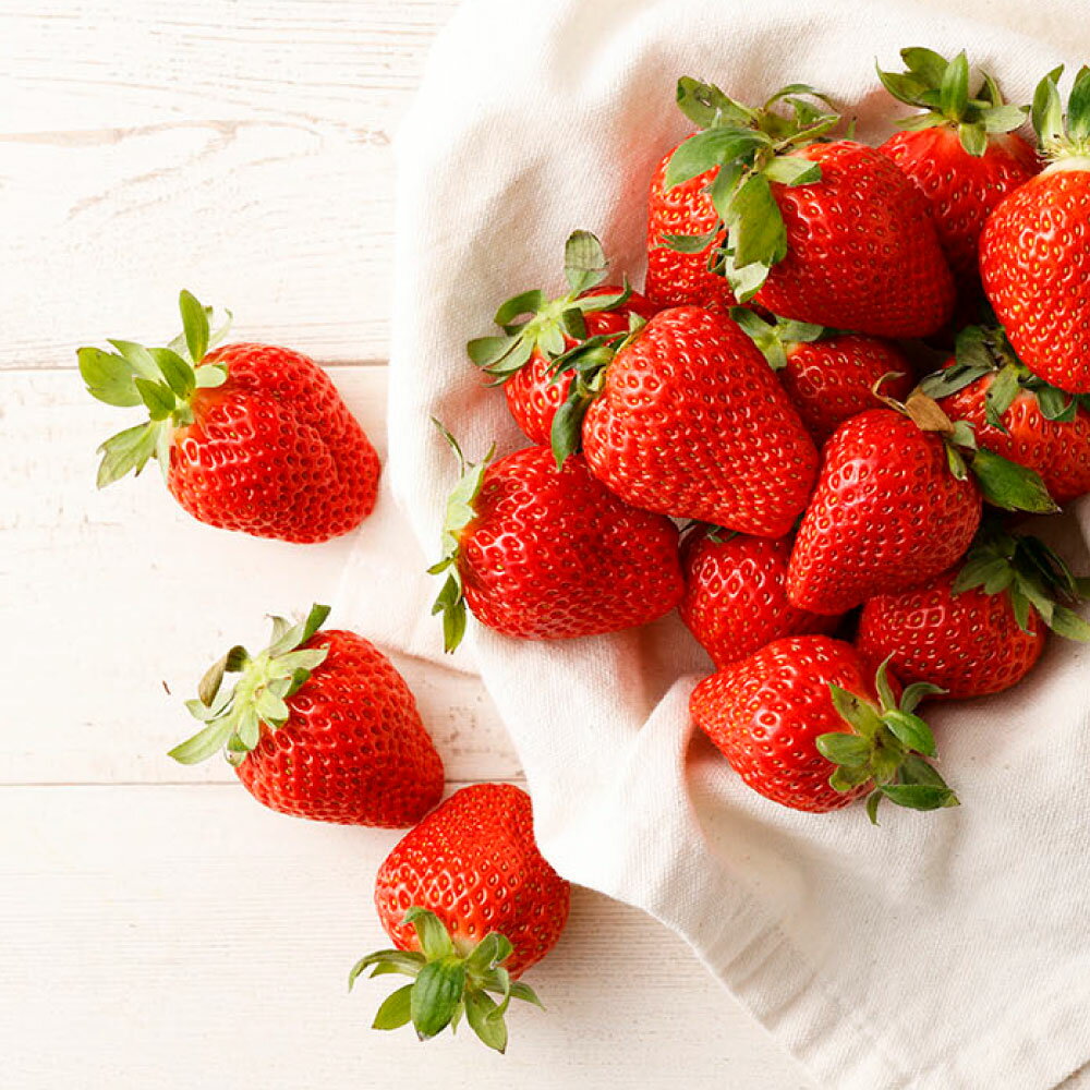 【ふるさと納税】熊本県産いちご ゆうべに 4パック 約1000g 約24～44個 果物 フルーツ 苺 イチゴ 旬 冷蔵 九州 熊本県 送料無料 【2026年1月上旬発送開始】 サムネイル2