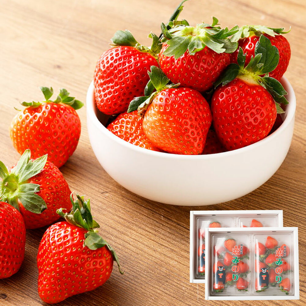 熊本県産いちご 恋みのり 4パック 約1000g 約24～44個 果物 フルーツ 苺 イチゴ 旬 冷蔵 九州 熊本県 送料無料 【2026年1月上旬発送開始】