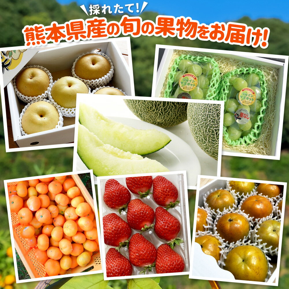 【ふるさと納税】【年6回定期便】熊本県果物定期便～採れたて旬の果物をお届け！～ 定期便 定期配送 全6回 くだもの 果物 フルーツ 旬 メロン マスカット 梨 太秋柿 河内みかん ゆうべに 熊本県産 九州 熊本県 送料無料 サムネイル3