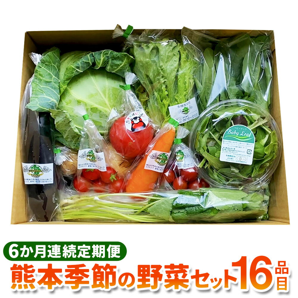 【6か月連続定期便】熊本季節の野菜セット 16品目 定期便 全6回 6ヶ月 定期配送 野菜 セット やさい 新鮮 旬 詰合せ 詰め合わせ 冷蔵 九州 熊本県 送料無料