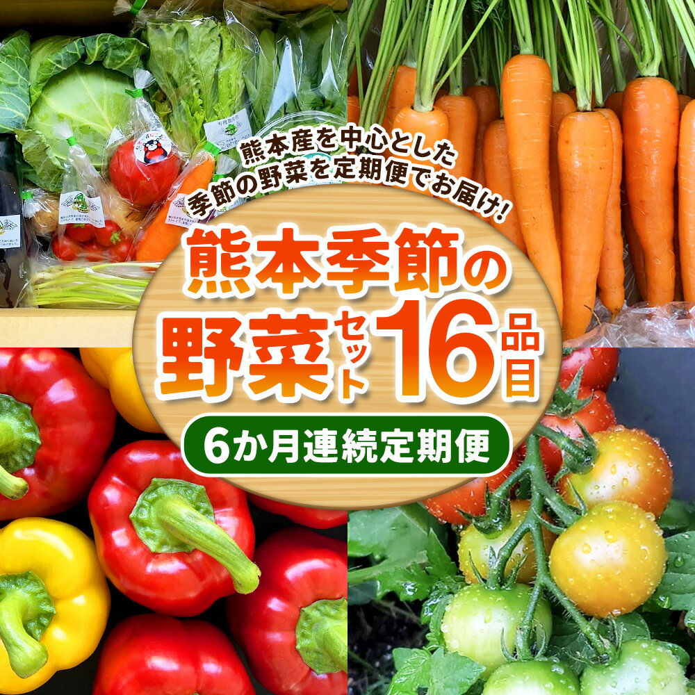 【ふるさと納税】【6か月連続定期便】熊本季節の野菜セット 16品目 定期便 全6回 6ヶ月 定期配送 野菜 セット やさい 新鮮 旬 詰合せ 詰め合わせ 冷蔵 九州 熊本県 送料無料 - 画像2