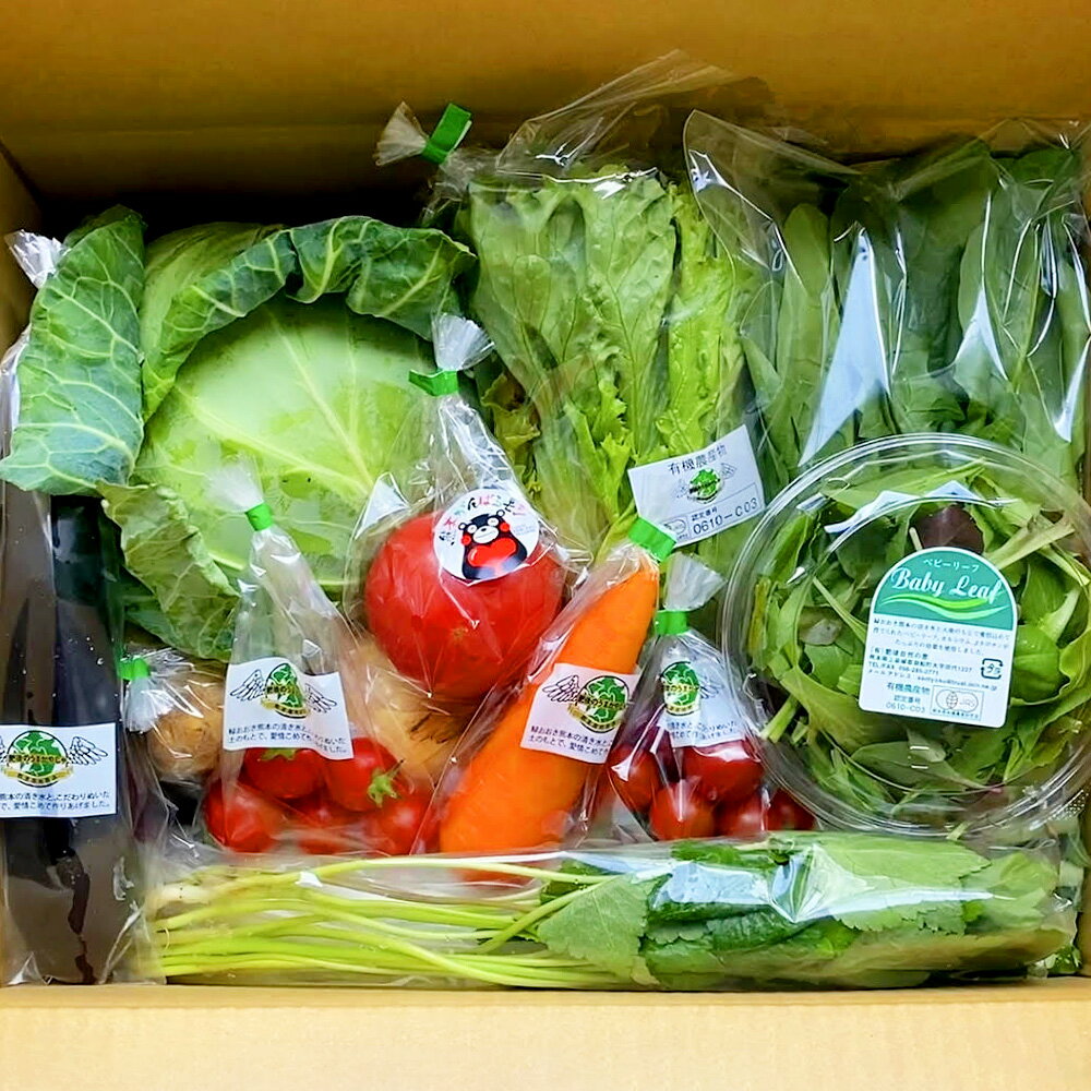 【ふるさと納税】【6か月連続定期便】熊本季節の野菜セット 16品目 定期便 全6回 6ヶ月 定期配送 野菜 セット やさい 新鮮 旬 詰合せ 詰め合わせ 冷蔵 九州 熊本県 送料無料 - 画像3