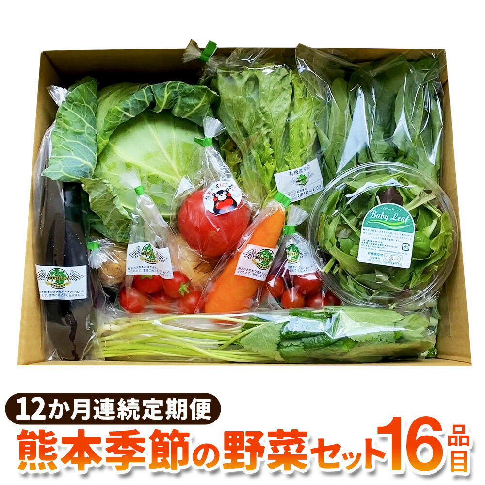 【12か月連続定期便】熊本季節の野菜セット 16品目 定期便 全12回 定期配送 野菜 セット やさい 新鮮 旬 詰め合わせ 詰合せ 冷蔵 九州 熊本県 送料無料