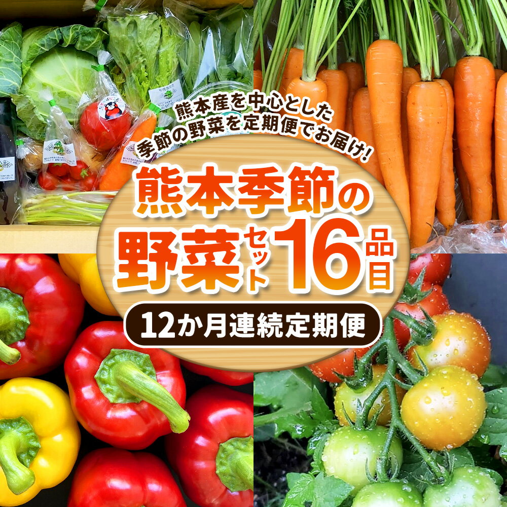 【ふるさと納税】【12か月連続定期便】熊本季節の野菜セット 16品目 定期便 全12回 定期配送 野菜 セット やさい 新鮮 旬 詰め合わせ 詰合せ 冷蔵 九州 熊本県 送料無料 - 画像2
