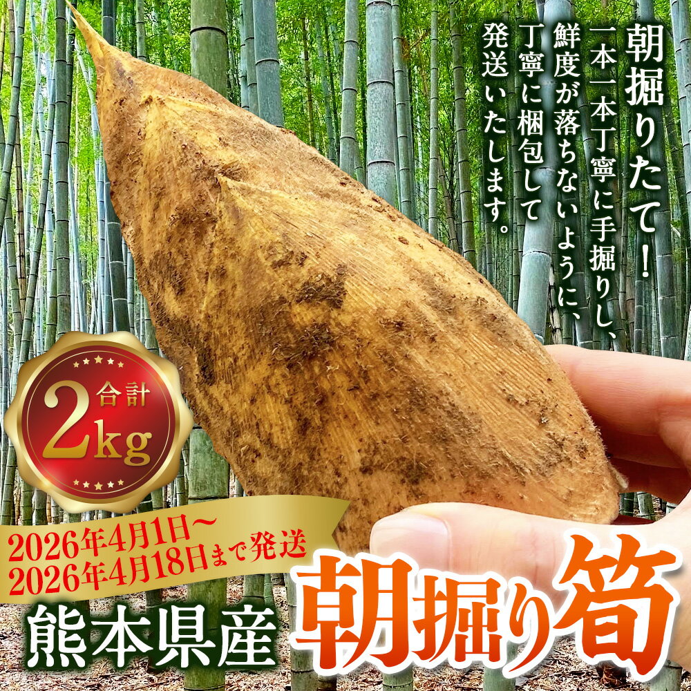 【ふるさと納税】熊本県産朝掘り筍 約2kg たけのこ タケノコ 国産 旬 皮付き 野菜 新鮮 朝掘り 煮物 お吸い物 サラダ 冷蔵 九州 熊本県 送料無料 【2026年4月1日～2026年4月18日発送予定】 - 画像2