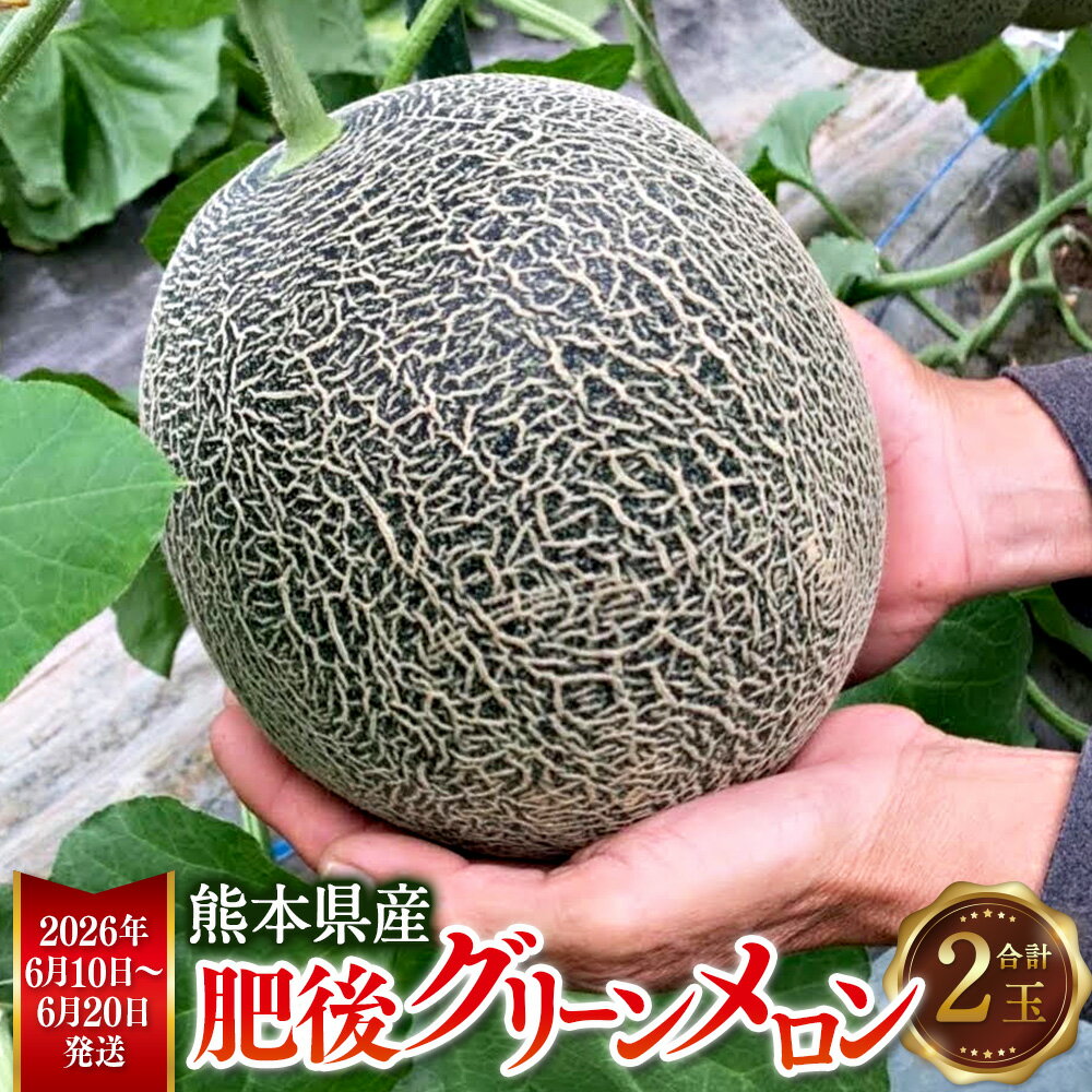 熊本県産 肥後グリーンメロン 2玉 約4kg 肥後グリーン 甘い 果物 フルーツ メロン 肥後 くだもの 旬 お取り寄せ 常温 九州 熊本県 送料無料【2026年6月10日より発送開始予定】