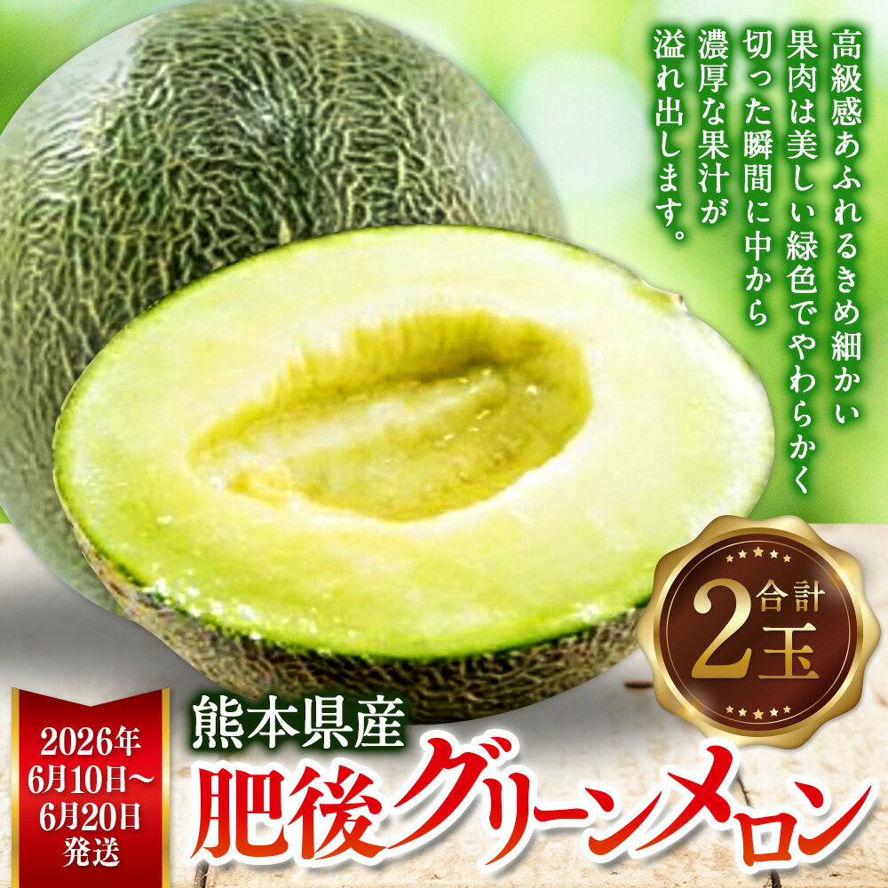 【ふるさと納税】熊本県産 肥後グリーンメロン 2玉 約4kg 肥後グリーン 甘い 果物 フルーツ メロン 肥後 くだもの 旬 お取り寄せ 常温 九州 熊本県 送料無料【2026年6月10日より発送開始予定】 サムネイル2