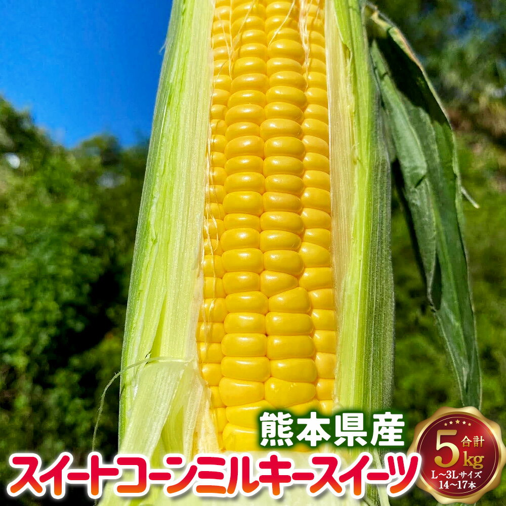熊本県産 スイートコーン ミルキースイーツ 約5kg 【2026年6月上旬発送開始】 とうもろこし トウモロコシ コーン 生 甘い 野菜 お取り寄せ 冷蔵 九州 熊本県 送料無料