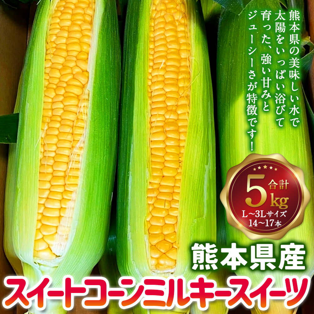 【ふるさと納税】熊本県産 スイートコーン ミルキースイーツ 約5kg 【2026年6月上旬発送開始】 とうもろこし トウモロコシ コーン 生 甘い 野菜 お取り寄せ 冷蔵 九州 熊本県 送料無料 - 画像2