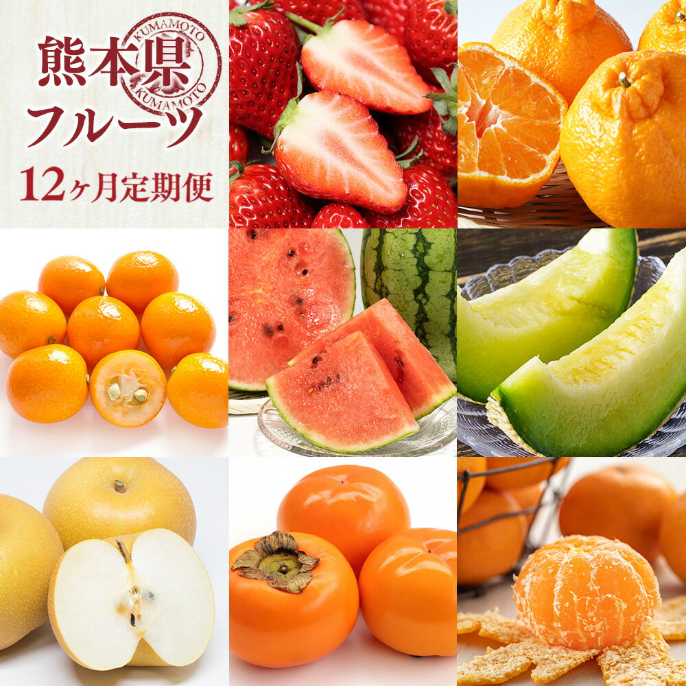 【12ヶ月定期便】熊本県 フルーツ 12ヶ月 定期便 155000円 15万5000円 定期配送 12回 果物 くだもの 果実 旬 柑橘 いちご 不知火 キンカン スイカ 西瓜 メロン 梨 みかん デコポン 太秋柿 新高梨 豊水梨 九州 送料無料