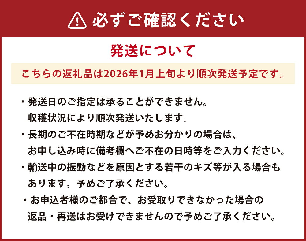 【ふるさと納税】【贈答用】朝摘み当日発送！熊本県産いちご（ゆうべに）（1箱9~12粒大玉） 熊本県ブランド品種 フルーツ 果物 果実 いちご 苺 九州 熊本県 送料無料 【2026年1月上旬発送開始】 サムネイル3
