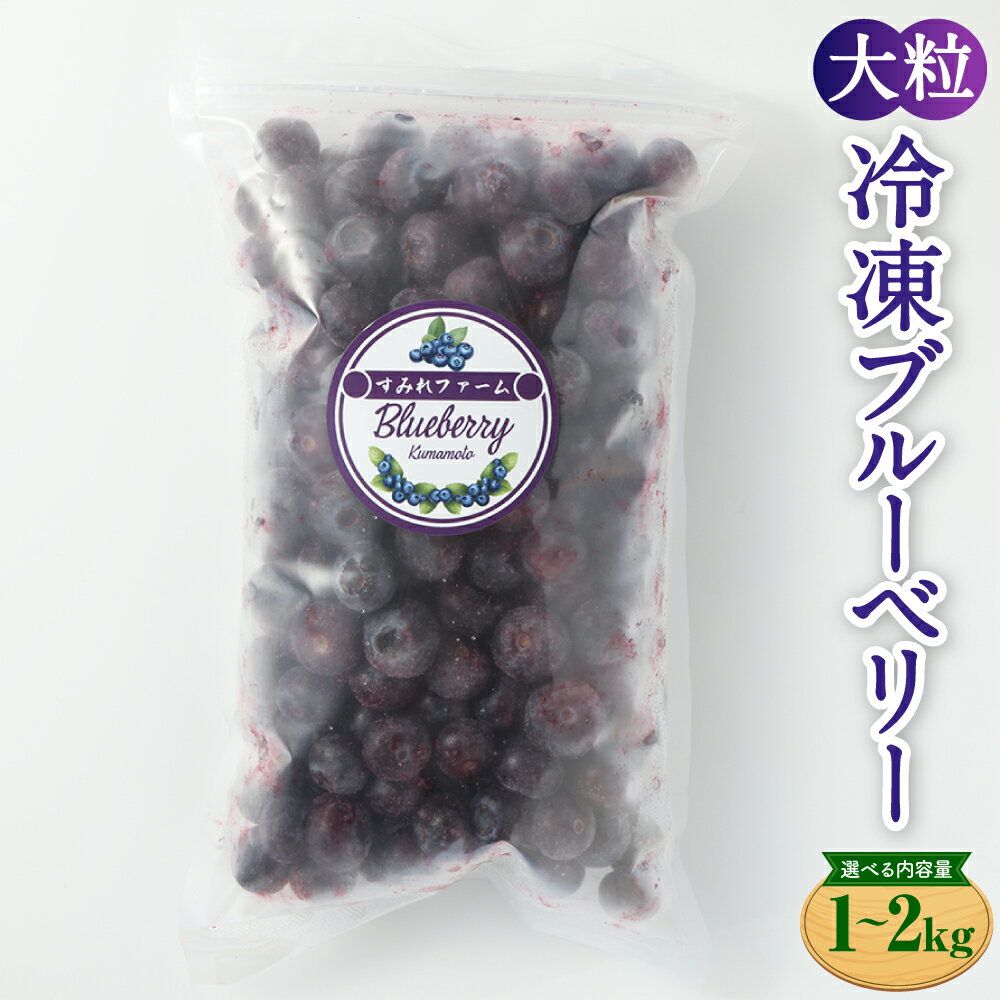 〈選べる内容量〉熊本県産大粒冷凍ブルーベリー 1kg～2kg 500g×2パック～4パック フルーツ 果物 くだもの 果実 ブルーベリー 冷凍 大粒 九州 熊本県 送料無料