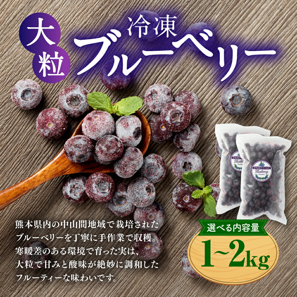 【ふるさと納税】〈選べる内容量〉熊本県産大粒冷凍ブルーベリー 1kg～2kg 500g×2パック～4パック フルーツ 果物 くだもの 果実 ブルーベリー 冷凍 大粒 九州 熊本県 送料無料 サムネイル2