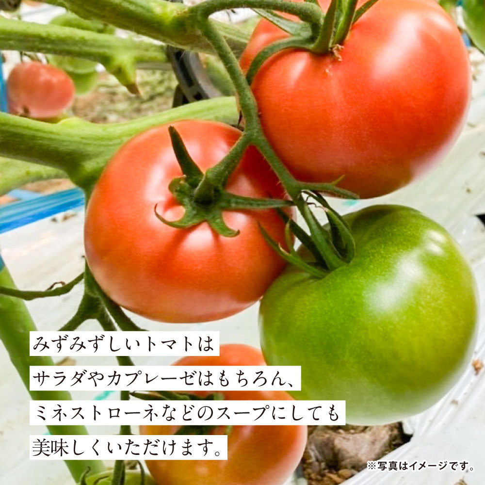 【ふるさと納税】まるで太陽の恵みをそのまま閉じ込めたような真っ赤な 大玉トマト 3.5kg×1箱 熊本県産トマト 高糖度 野菜 熊本産 九州 熊本県 送料無料 【2026年1月下旬発送開始】 - 画像3