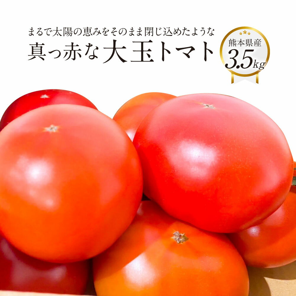 まるで太陽の恵みをそのまま閉じ込めたような真っ赤な 大玉トマト 3.5kg×1箱 熊本県産トマト 高糖度 野菜 熊本産 九州 熊本県 送料無料 【2026年1月下旬発送開始】