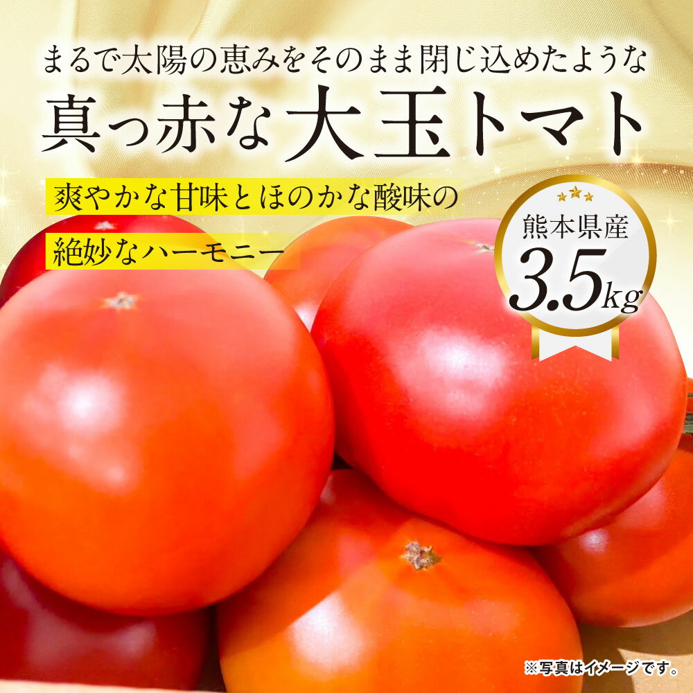 【ふるさと納税】まるで太陽の恵みをそのまま閉じ込めたような真っ赤な 大玉トマト 3.5kg×1箱 熊本県産トマト 高糖度 野菜 熊本産 九州 熊本県 送料無料 【2026年1月下旬発送開始】 - 画像2