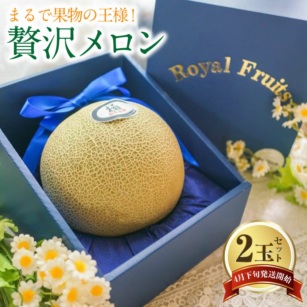 まるで果物の王様！贅沢メロン 2玉セット 熊本県産 フルーツ メロン 贈答 ギフト 果物 熊本産 九州 熊本県 送料無料 【2026年4月下旬発送開始】
