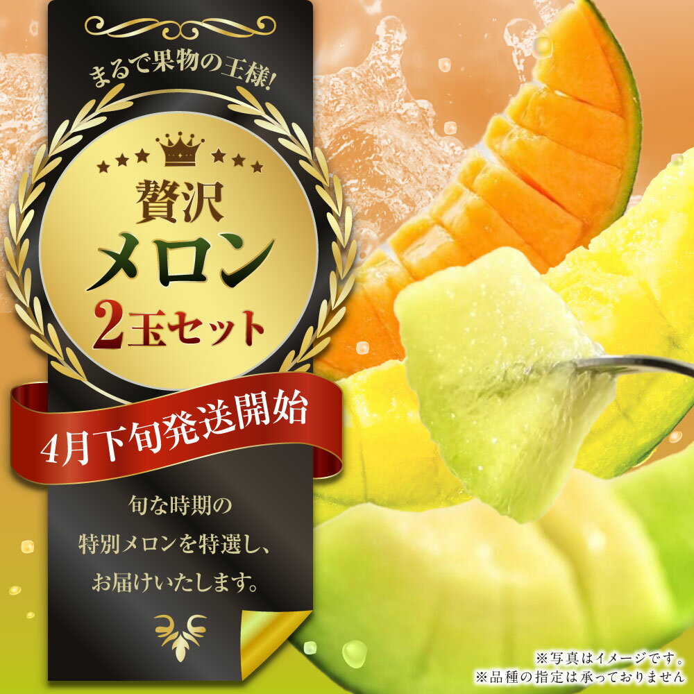 【ふるさと納税】まるで果物の王様！贅沢メロン 2玉セット 熊本県産 フルーツ メロン 贈答 ギフト 果物 熊本産 九州 熊本県 送料無料 【2026年4月下旬発送開始】 サムネイル2