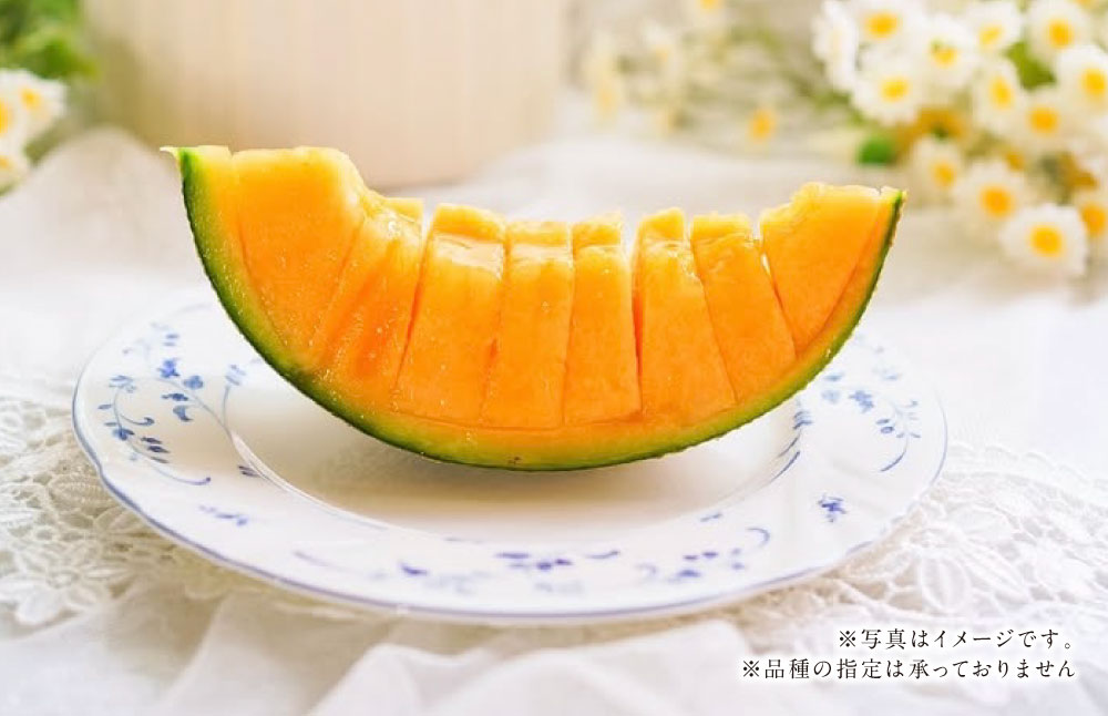 【ふるさと納税】まるで果物の王様！贅沢メロン 2玉セット 熊本県産 フルーツ メロン 贈答 ギフト 果物 熊本産 九州 熊本県 送料無料 【2026年4月下旬発送開始】 サムネイル3