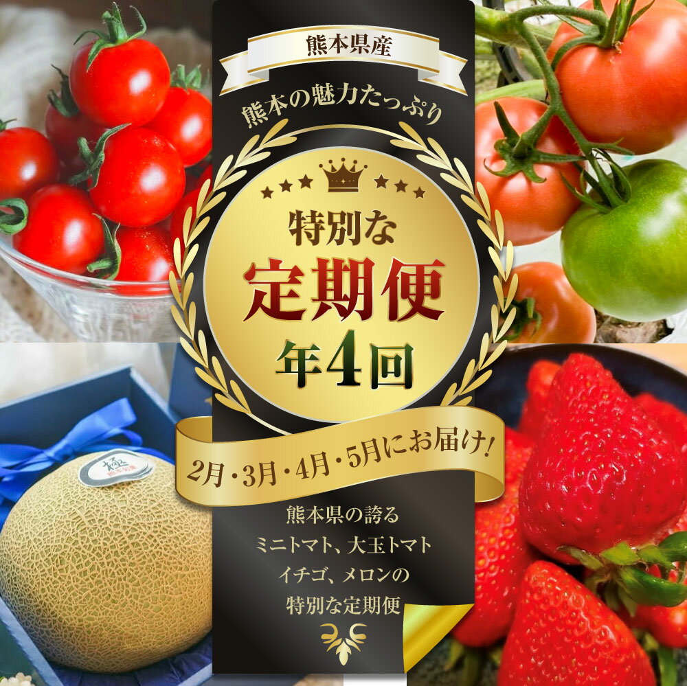 【ふるさと納税】【年4回定期便】熊本の魅力たっぷり 定期便 ミニトマト トマト 大玉トマト メロン いちご イチゴ 苺 大粒 熊本県産 フルーツ 野菜 果物 熊本産 九州 熊本県 送料無料 【2026年2月上旬発送開始】 サムネイル2