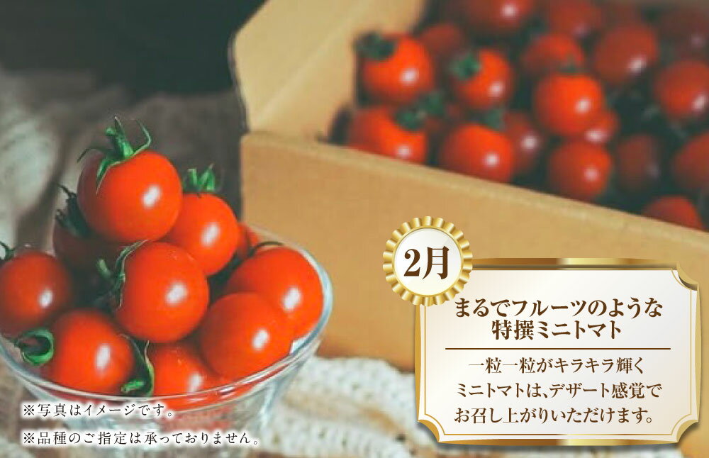 【ふるさと納税】【年4回定期便】熊本の魅力たっぷり 定期便 ミニトマト トマト 大玉トマト メロン いちご イチゴ 苺 大粒 熊本県産 フルーツ 野菜 果物 熊本産 九州 熊本県 送料無料 【2026年2月上旬発送開始】 サムネイル3