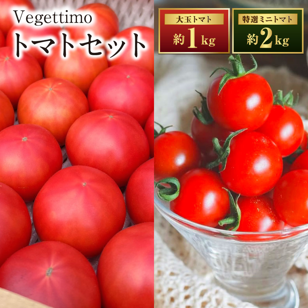 Vegettimoトマトセット 大玉トマト1kg ＋ 特選ミニトマト2kg (熊本県産) 【2026年1月下旬発送開始】 トマト とまと ミニトマト 野菜 やさい リコピン 食品 セット 九州 熊本県 熊本 常温 送料無料
