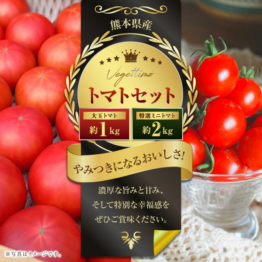 【ふるさと納税】Vegettimoトマトセット 大玉トマト1kg ＋ 特選ミニトマト2kg (熊本県産) 【2026年1月下旬発送開始】 トマト とまと ミニトマト 野菜 やさい リコピン 食品 セット 九州 熊本県 熊本 常温 送料無料 - 画像2