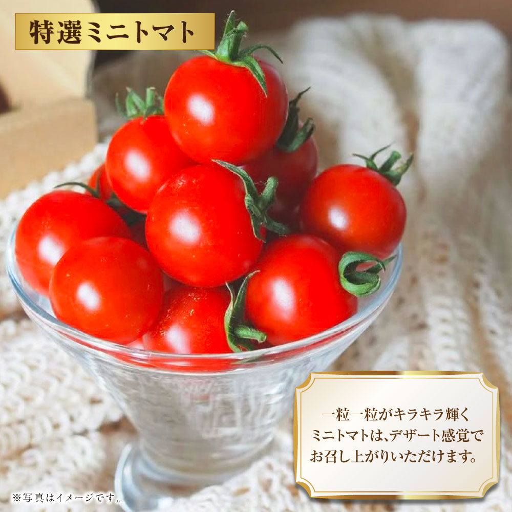 【ふるさと納税】Vegettimoトマトセット 大玉トマト1kg ＋ 特選ミニトマト2kg (熊本県産) 【2026年1月下旬発送開始】 トマト とまと ミニトマト 野菜 やさい リコピン 食品 セット 九州 熊本県 熊本 常温 送料無料 - 画像3