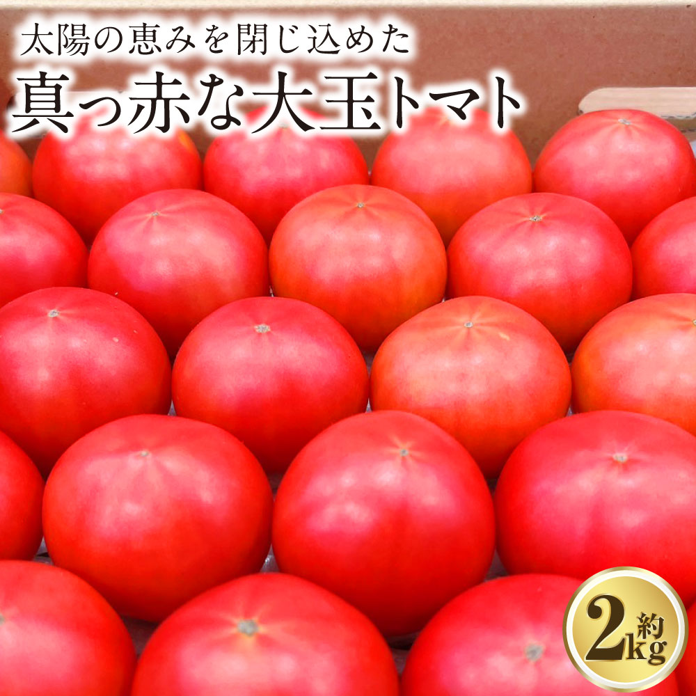 太陽の恵みを閉じ込めた真っ赤な大玉トマト 2kg (熊本県産) 【2026年1月下旬発送開始】 トマト とまと 野菜 やさい リコピン 食品 九州 熊本県 熊本 常温 送料無料