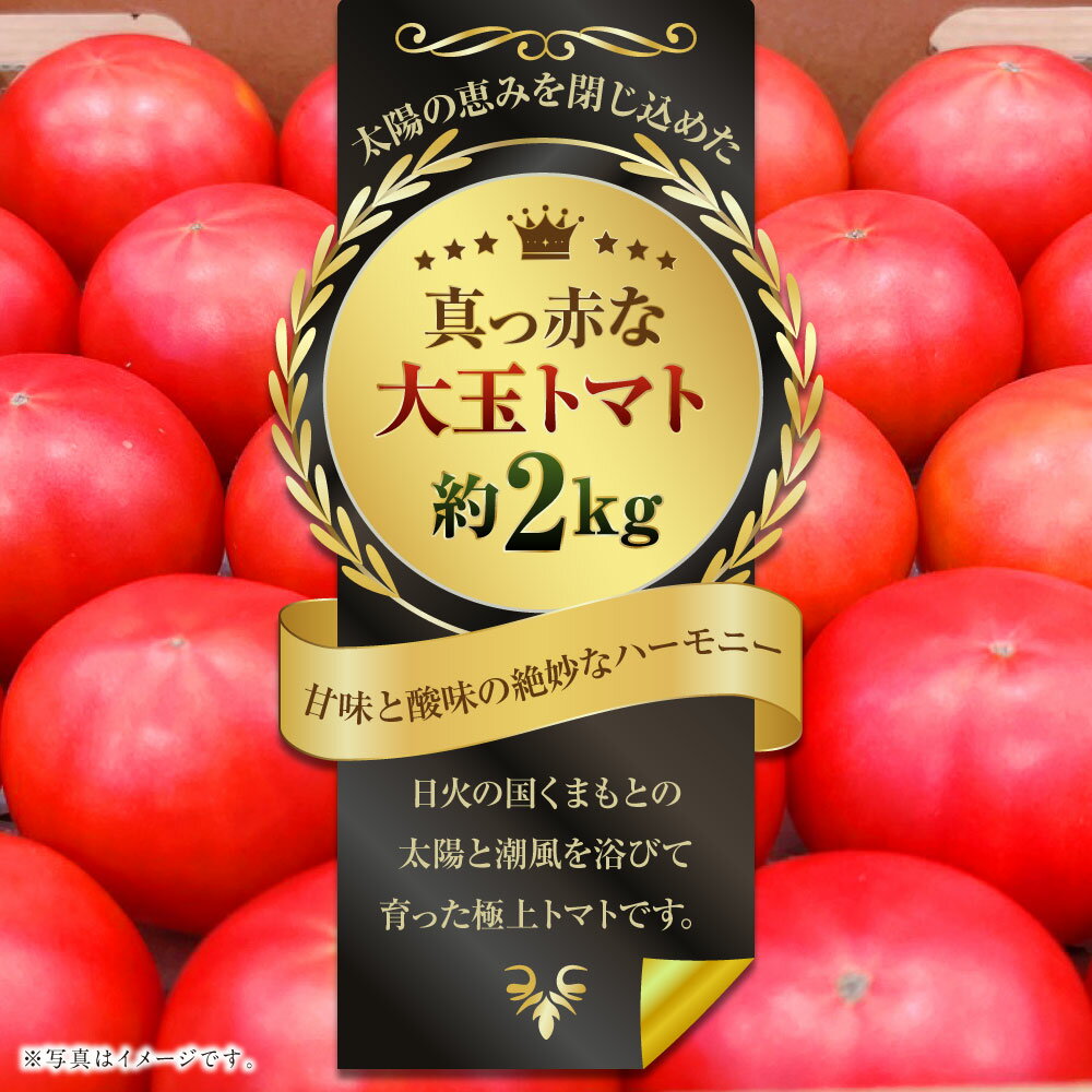 【ふるさと納税】太陽の恵みを閉じ込めた真っ赤な大玉トマト 2kg (熊本県産) 【2026年1月下旬発送開始】 トマト とまと 野菜 やさい リコピン 食品 九州 熊本県 熊本 常温 送料無料 - 画像2