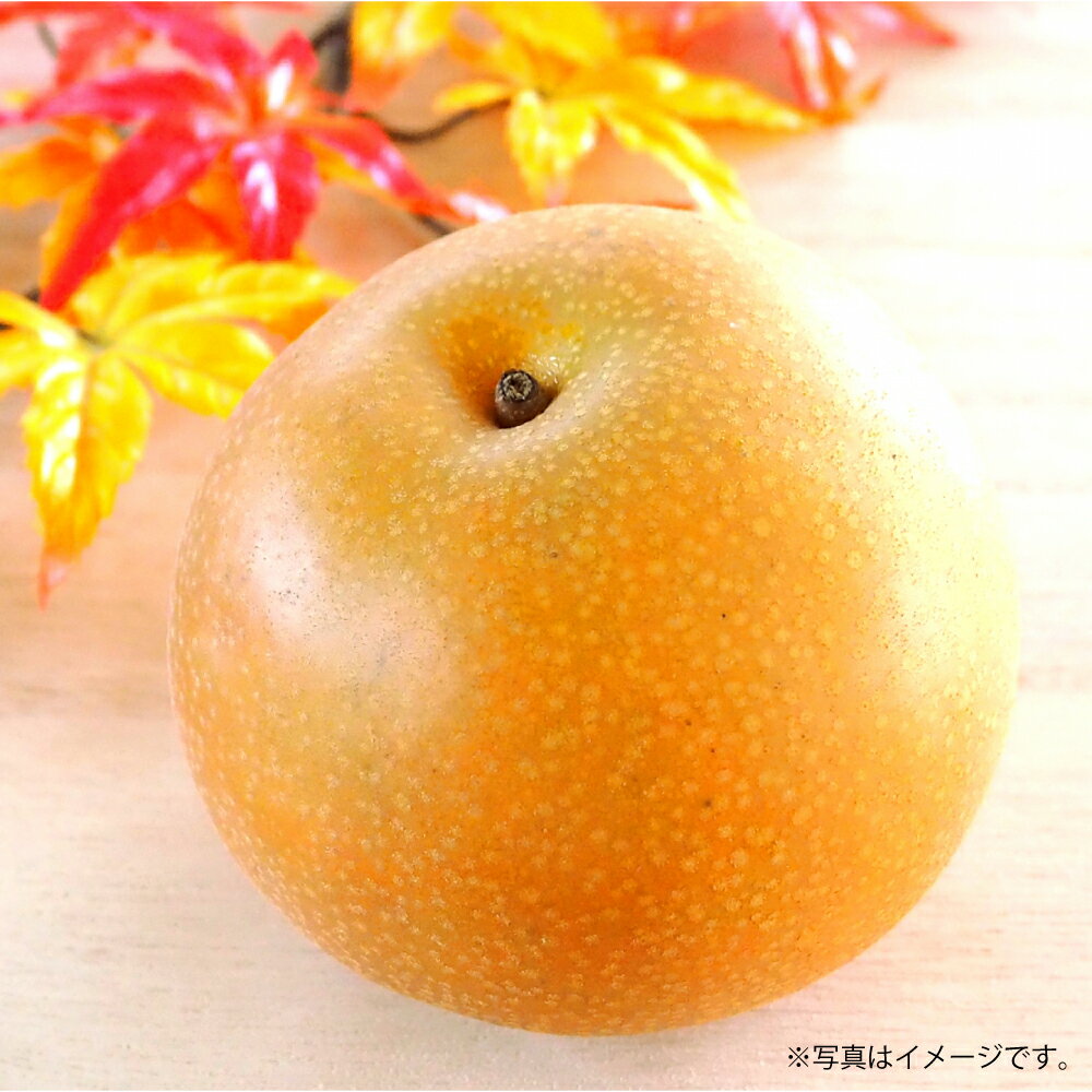 吉野梨 秋月 約5kg 梨 フルーツ 果物 なし ナシ 冷蔵 熊本産 九州 熊本県 送料無料 【2026年9月上旬発送開始】