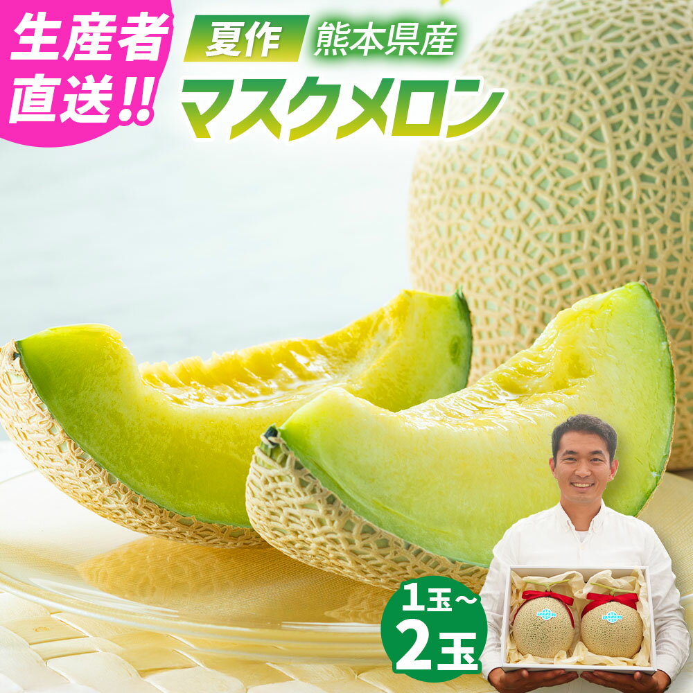 【生産者直送】 ☆夏作☆マスクメロン 1玉（1.6kg以上） または 2玉（合計3.2kg以上） 選べる フルーツ 果物 くだもの 果実 メロン マスクメロン 九州 熊本県 送料無料 【2025年7月上旬発送開始】