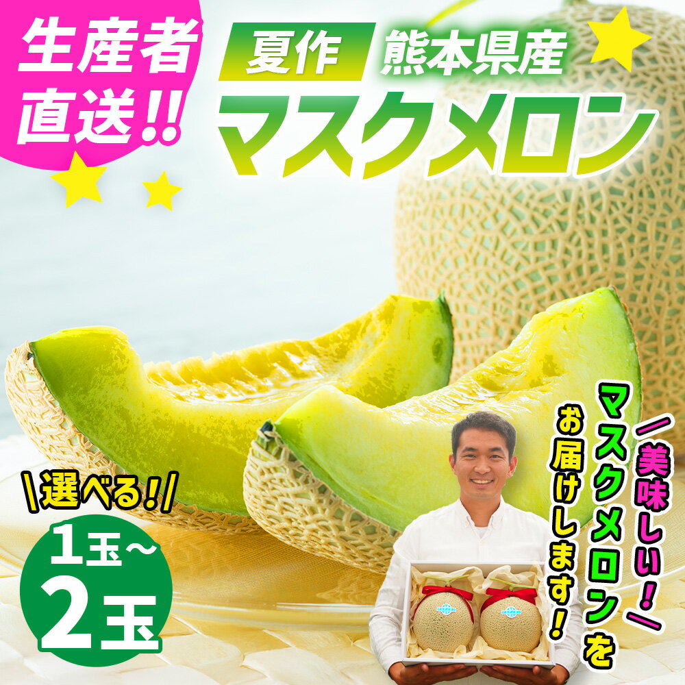 【ふるさと納税】【生産者直送】 ☆夏作☆マスクメロン 1玉（1.6kg以上） または 2玉（合計3.2kg以上） 選べる フルーツ 果物 くだもの 果実 メロン マスクメロン 九州 熊本県 送料無料 【2025年7月上旬発送開始】 サムネイル2