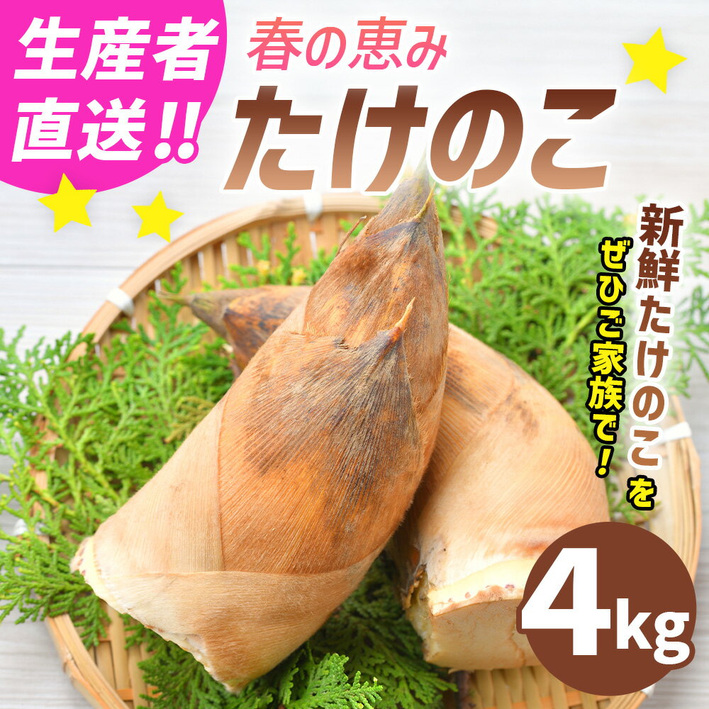【ふるさと納税】【生産者直送】春の恵み たけのこ 4kg （2～5本） 11000円 1万1000円 筍 旬菜 野菜 やさい 国産 熊本県産 九州 熊本県 送料無料 【2026年4月上旬発送開始】 - 画像2