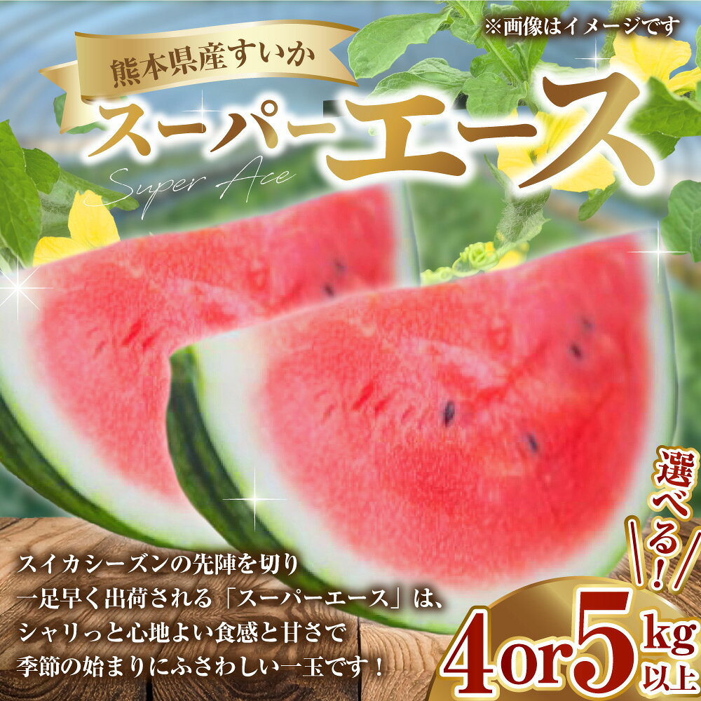 【ふるさと納税】＜選べる内容量＞熊本県産すいか スーパーエース 4kg以上 / 5kg以上 スイカ すいか 西瓜 くだもの 果物 果実 フルーツ 青果 デザート おやつ 熊本県産 国産 九州 熊本県 送料無料 【2026年3月上旬発送開始】 サムネイル2