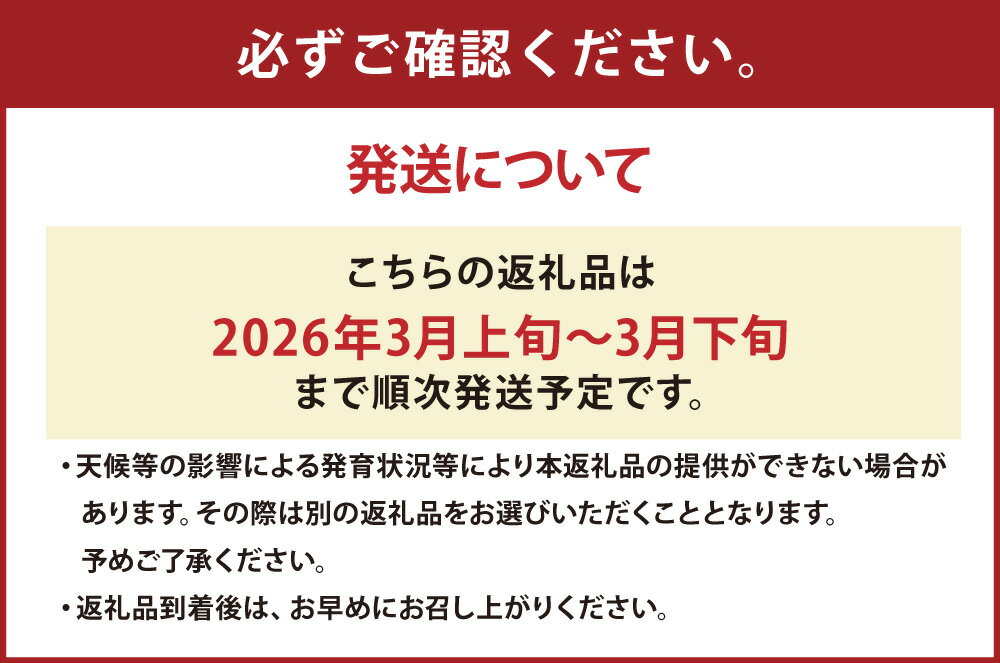 【ふるさと納税】＜選べる内容量＞熊本県産すいか スーパーエース 4kg以上 / 5kg以上 スイカ すいか 西瓜 くだもの 果物 果実 フルーツ 青果 デザート おやつ 熊本県産 国産 九州 熊本県 送料無料 【2026年3月上旬発送開始】 サムネイル3