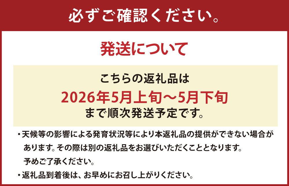 【ふるさと納税】熊本県産すいか 祭ばやし 7kg以上 スイカ すいか 西瓜 くだもの 果物 果実 フルーツ 青果 デザート おやつ 熊本県産 国産 九州 熊本県 送料無料 【2026年5月上旬発送開始】 サムネイル3
