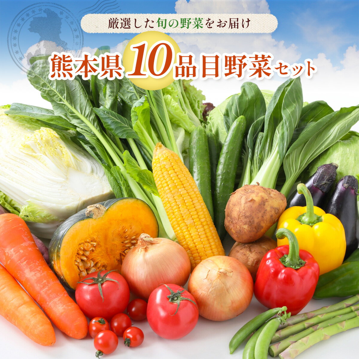 熊本県10品目野菜セット 新鮮 詰め合わせ 野菜 お野菜 季節 冷蔵 旬 四季 セット 厳選 九州 熊本県 送料無料